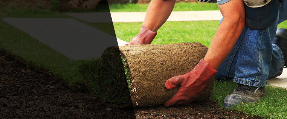 Horn Lake Landscapers